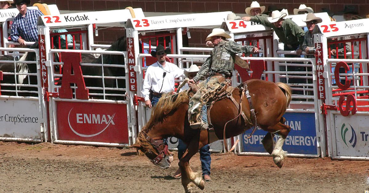Calgary's Sporting Spirit